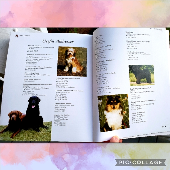 The Complete Encyclopedia of Dog Breeds - Picture 8 of 10
